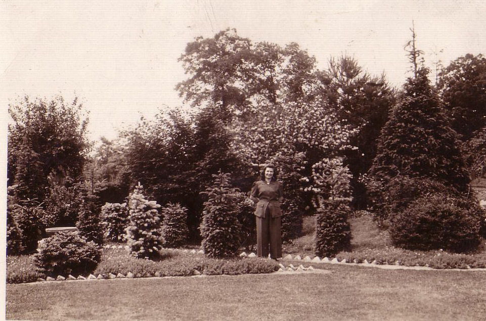 rose_desantis_backyard.jpg