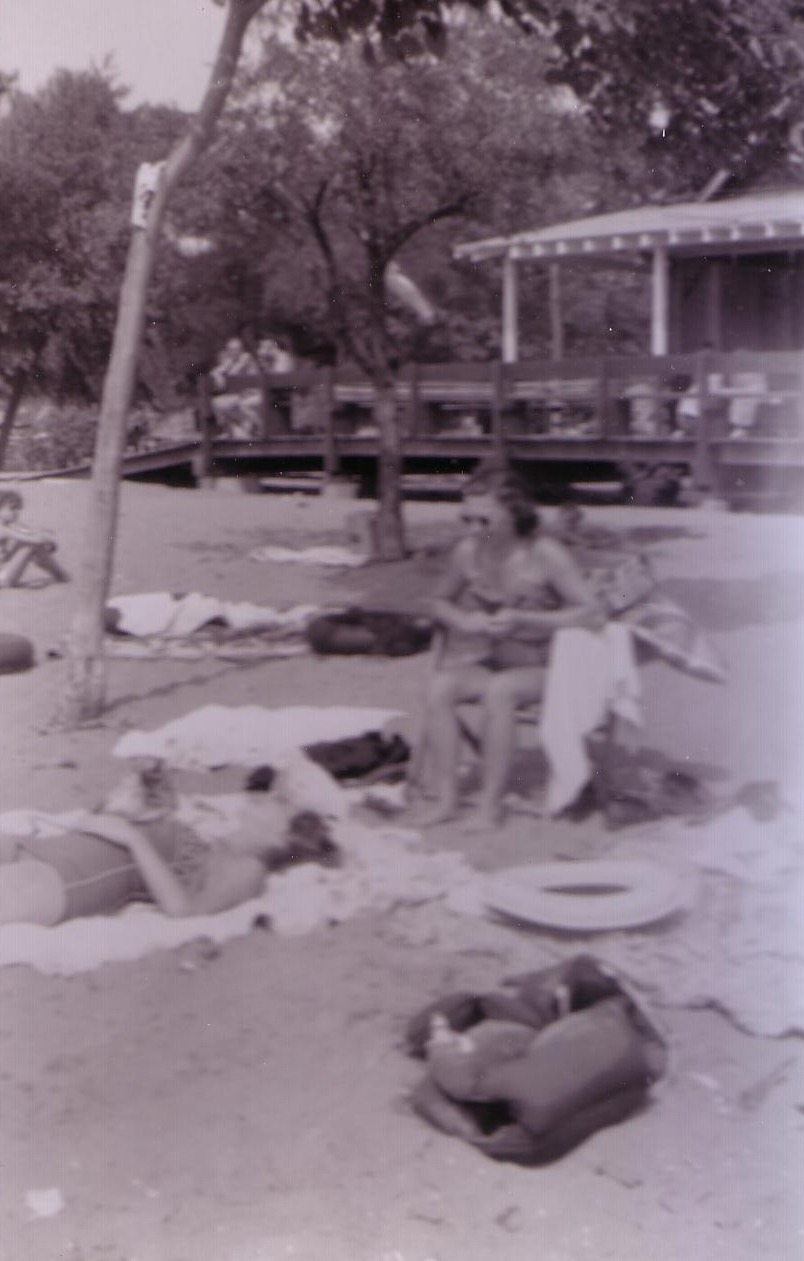 sal_picnic_7.jpg